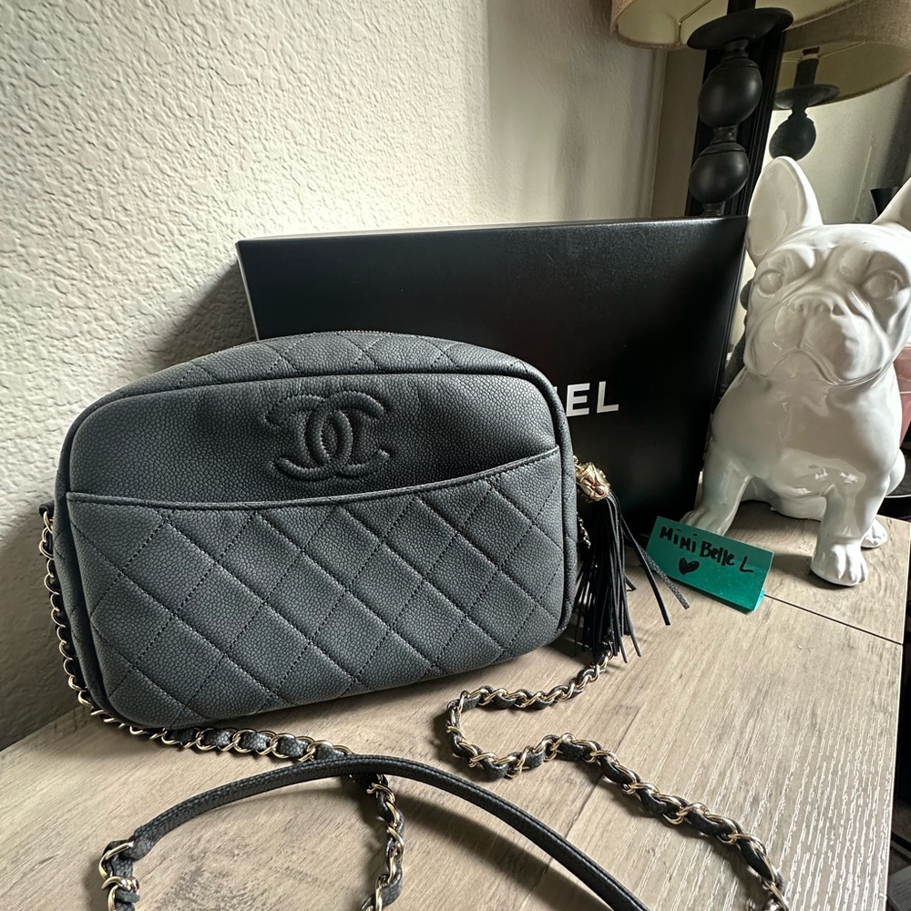 Chanel Caviar Camera Bag in Iridescent Black